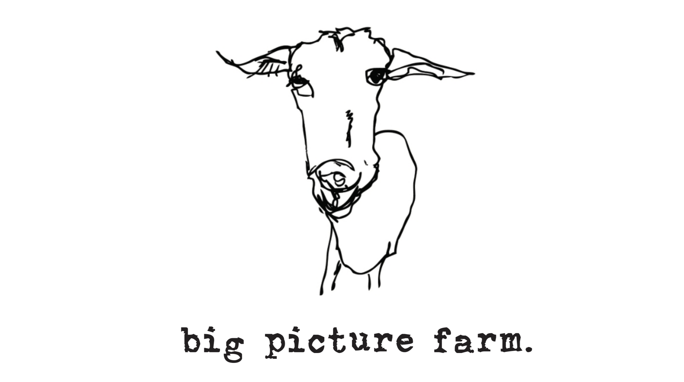 Hand-drawn picture of a goat